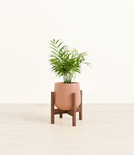 Load image into Gallery viewer, Calm Rose stand:walnut
