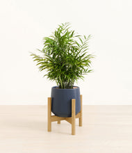 Load image into Gallery viewer, Deep Navy stand:bamboo