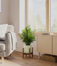 Load image into Gallery viewer, Turquoise stand:walnut