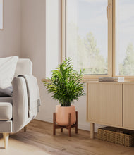 Load image into Gallery viewer, Calm Rose stand:walnut