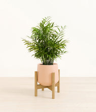 Load image into Gallery viewer, Gentle Pink stand:bamboo