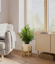 Load image into Gallery viewer, Almond Green stand:bamboo