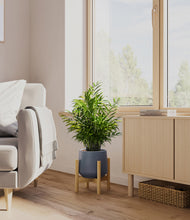 Load image into Gallery viewer, Deep Navy stand:bamboo