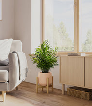 Load image into Gallery viewer, Gentle Pink stand:bamboo