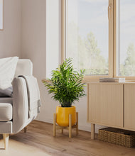 Load image into Gallery viewer, Mustard stand:bamboo