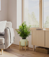 Load image into Gallery viewer, Turquoise stand:bamboo