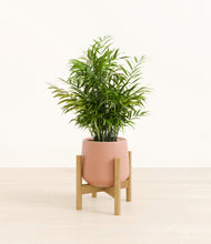 Load image into Gallery viewer, Calm Rose stand:bamboo