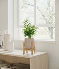 Load image into Gallery viewer, Eternal Gray stand:bamboo