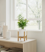 Load image into Gallery viewer, White stand:bamboo