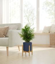 Load image into Gallery viewer, Deep Navy stand:bamboo