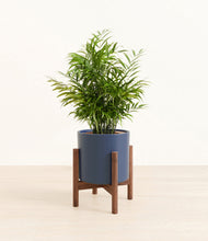 Load image into Gallery viewer, Deep Navy stand:walnut