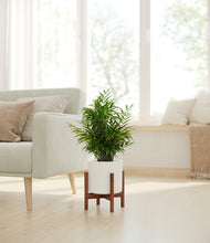 Load image into Gallery viewer, White stand:walnut