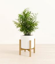 Load image into Gallery viewer, White stand:bamboo