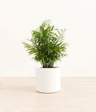 Load image into Gallery viewer, White*****Profile