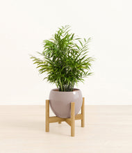 Load image into Gallery viewer, Winter Clouds stand:bamboo