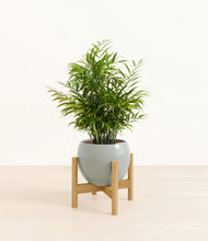 Load image into Gallery viewer, Deep Ocean stand:bamboo