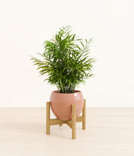 Load image into Gallery viewer, Calm Rose stand:bamboo