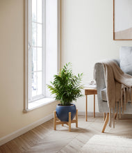 Load image into Gallery viewer, Deep Navy stand:bamboo