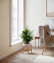 Load image into Gallery viewer, Desert Brown stand:bamboo