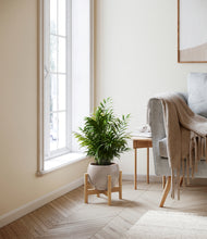 Load image into Gallery viewer, Winter Clouds stand:bamboo