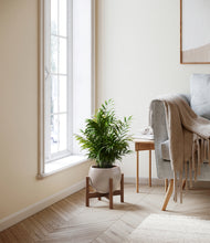 Load image into Gallery viewer, Winter Clouds stand:walnut