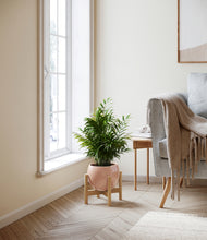 Load image into Gallery viewer, Calm Rose stand:bamboo