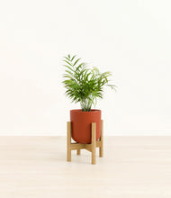 Load image into Gallery viewer, Earth Red stand:bamboo