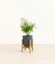 Load image into Gallery viewer, Iron Gray stand:bamboo