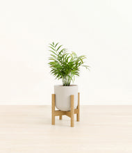 Load image into Gallery viewer, Natural Bamboo stand:bamboo