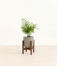 Load image into Gallery viewer, Sage Green stand:walnut