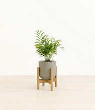 Load image into Gallery viewer, Sage Green stand:bamboo