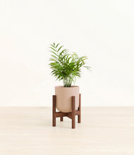 Load image into Gallery viewer, Sandy Pink stand:walnut