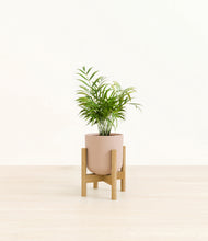Load image into Gallery viewer, Sandy Pink stand:bamboo