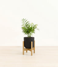 Load image into Gallery viewer, Stone Black stand:bamboo