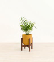 Load image into Gallery viewer, Sunset Orange stand:walnut