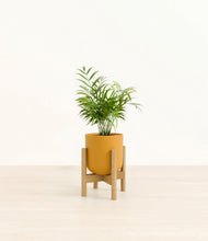 Load image into Gallery viewer, Sunset Orange stand:bamboo