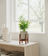 Load image into Gallery viewer, Sage Green stand:walnut