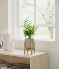 Load image into Gallery viewer, Sage Green stand:bamboo