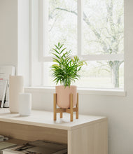 Load image into Gallery viewer, Sandy Pink stand:bamboo