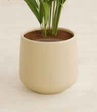 Load image into Gallery viewer, Almond Green stand:all