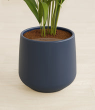 Load image into Gallery viewer, Deep Navy stand:all