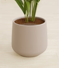 Load image into Gallery viewer, Eternal Gray stand:all