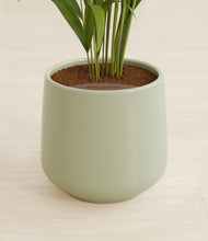 Load image into Gallery viewer, Turquoise stand:all