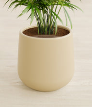 Load image into Gallery viewer, Almond Green stand:all