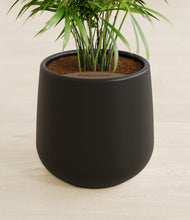 Load image into Gallery viewer, Black stand:all