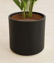 Load image into Gallery viewer, Black stand:all