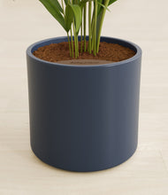 Load image into Gallery viewer, Deep Navy stand:all