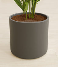 Load image into Gallery viewer, Dark Olive stand:all