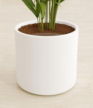 Load image into Gallery viewer, White stand:all