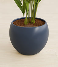 Load image into Gallery viewer, Deep Navy stand:all